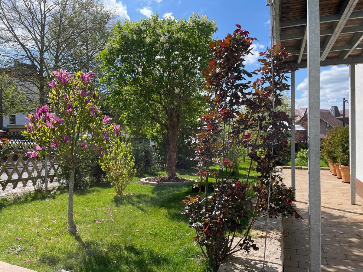 Villa Florentine Bad Liebenstein Eksteriør billede