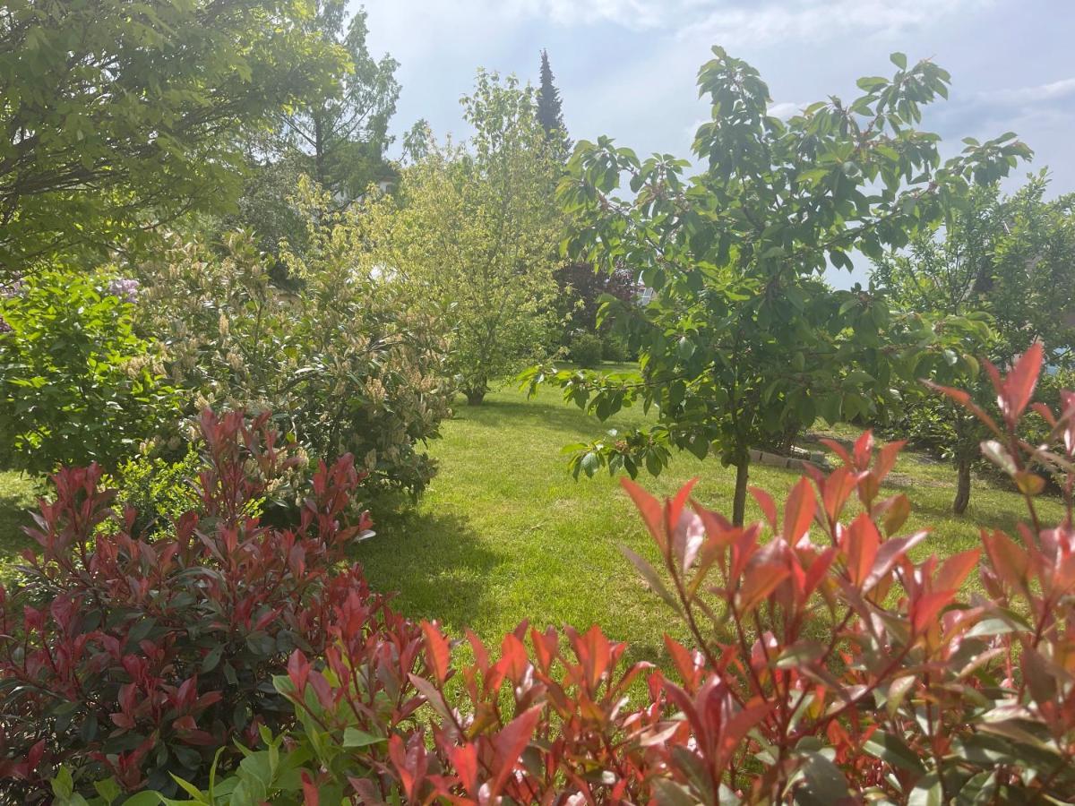 Villa Florentine Bad Liebenstein Eksteriør billede